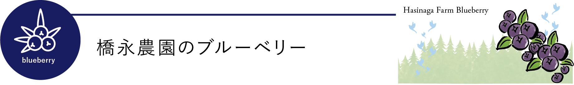 橋永農園のブルーベリー