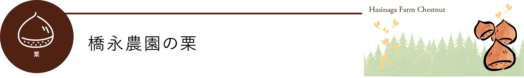 橋永農園の栗